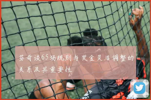 芬奇谈65场规则与奖金灵活调整的关系及其重要性