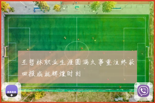 王哲林职业生涯圆满久事重注终获回报成就辉煌时刻