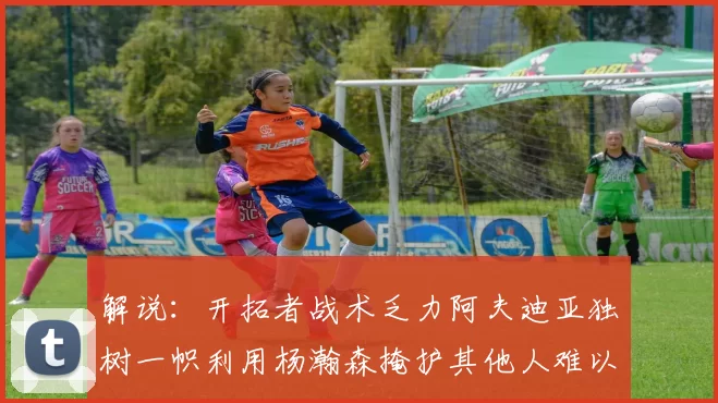解说：开拓者战术乏力阿夫迪亚独树一帜利用杨瀚森掩护其他人难以配合
